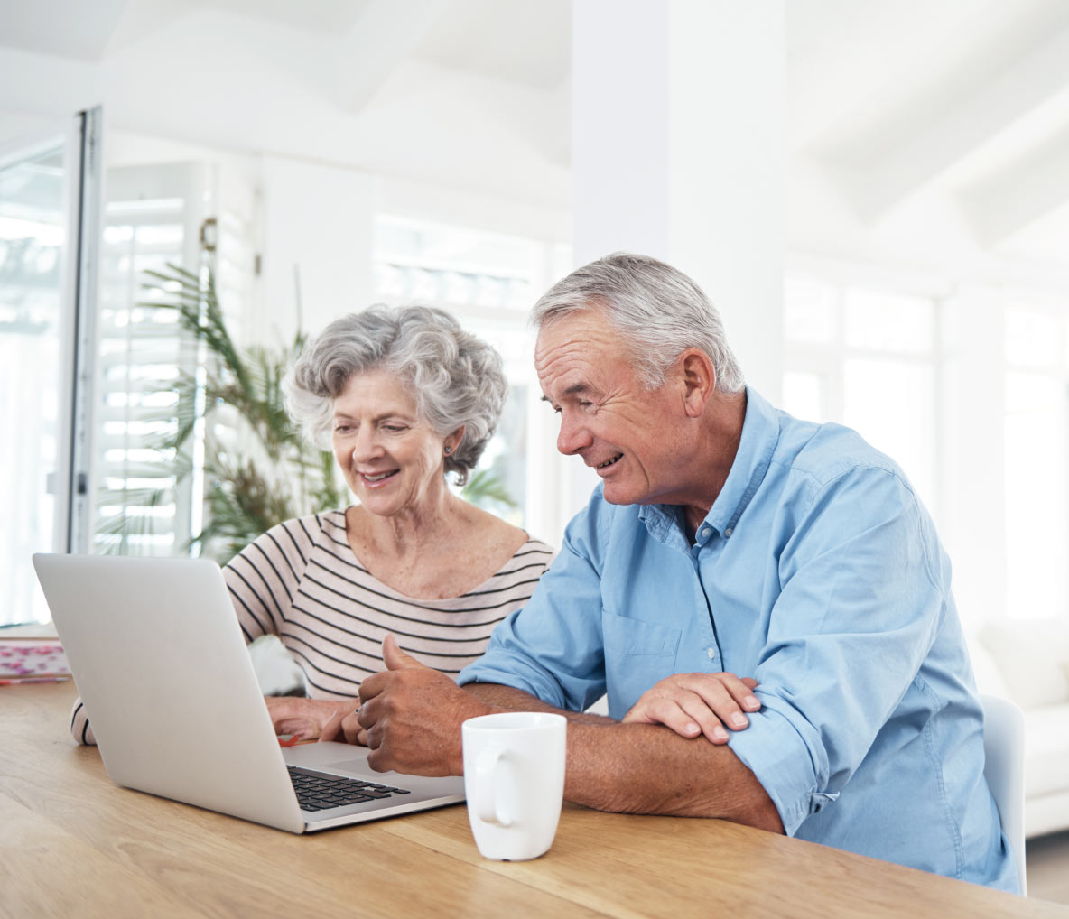 Mature couple looking at laptop